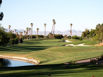 Sustainable Choices on and off the Course