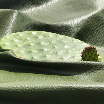 cactus leather